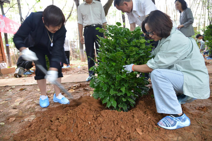 植树1_副本